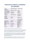 Resumen Medical Biochemistry -  Bioqu&iacute;mica 