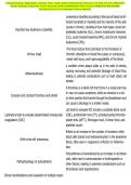 Pathophysiology Nightingale College Final study guide Comprehensive Resource To Help You Ace 2026-2027 Exams Includes Frequently Tested Questions With ELABORATED 100&percnt; Correct COMPLETE SOLUTIONS  &NewLine;Guaranteed Pass First Attempt&excl;&excl; Current Update&excl;&excl; 