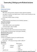 Samenvatting Celbiologie &vert; Medische Biochemie &vert; UA &vert; 2025&sol;26