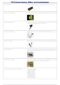 PCA Insects Exam &vert; Insects&comma; Mites & Invertebrates Practice Questions &vert; Pest Control Adviser Prep 2026&sol;2027