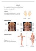 Anatomie Volledige Samenvatting &vert; KU Leuven &vert; 2025&sol;2026