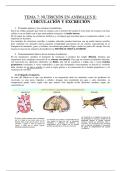 Apuntes Tema 7 y tema 8 bloque fisiolog&iacute;a animal