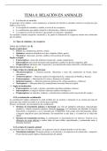 Apuntes tema 8 relaccion animal 