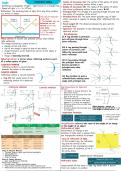 Summary -  SCIENCE &lbrace;LIGHT&rcub;