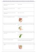 Gallbladder & Biliary System Sonography Exam 2026&ndash;2027 &vert; Anatomy&comma; Pathology Practice Questions & Verified Answers