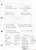 Document preview thumbnail