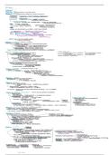 Biologie H1-3  &vert; Cel & Energie &vert; Toelatingsexamen &vert; 2026&sol;2027