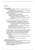 Document preview thumbnail