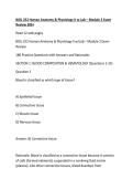 BIOL 252 Human Anatomy & Physiology II w-Lab &ndash; Module 2 Exam Review 300&plus; 