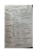 Algebra Cheat
