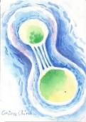 Meiose
