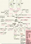 A-level chemistry mindmap