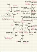 A-level chemistry mindmap