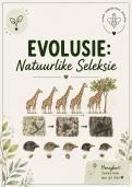 Evolusie&colon; Natuurlike Seleksie - Lewenswetenskappe Graad 12