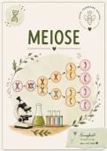 Meiose - Lewenswetenskappe Graad 12 