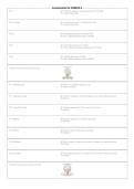 Counterstrain for COMLEX Level 2 2026&sol;2027 &vert; OMT Study Guide & Exam Prep