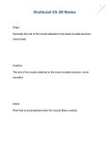 Orofacial Chapter 28 Notes &vert; Orofacial Anatomy Study Guide