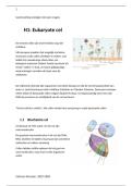 Samenvatting en open vragen lessen Prof&period; de Vos Celbiologie partim cytologie 