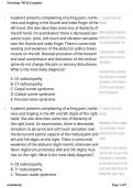  Neurology MCQ Examples 2026&sol;2027 &vert; Study Guide&comma; Practice Questions & Answers &vert; NCLEX-RN Exam Prep