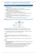 Samenvatting Grondslagen van de Beleidsinformatica &lpar;D0T06A&rpar; &mdash; ICTS &plus; Programmeren 17&sol;20