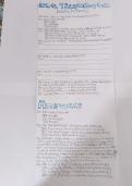 Grade 7 Respiratory System Quiz&sol;Test&lpar;With answers&rpar;