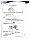 Class notes Biology  