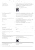 Chapter 14 The Somatic Nervous System and Special Senses &vert; Questions and Answers&comma; Study Guide & Practice Test PDF 2026