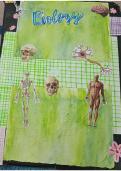 Genetic disorders class 12 th best for board practical&NewLine;