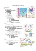 NR 507 Week 4 Midterm Exam &ndash; Advanced Pathophysiology 2026 High‑Yield Assessment & Correct Answer Review &vert; Chamberlain College of Nursing