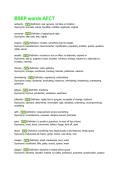 BSEP Words AFCT &vert; Air Force BSEP Vocabulary Study Guide & AFCT Word Practice