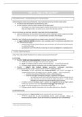 Inleiding tot de Wijsbegeerte Samenvatting