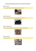 Earth Science Questions with Correct Answers &lpar;Grade A&plus;&rpar;