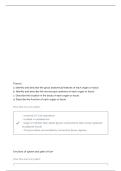 HAPS LEARNING OBJECTIVES LYMPHATIC SYSTEM QUESTIONS WITH CORRECT ANSWERS