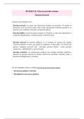 Apuntes de Derecho Romano &lpar;Parte II&rpar; &ndash; El proceso privado romano&colon; acciones de ley y procedimiento formulario