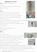 Lymfatisch systeem tot op het bot anatomie 