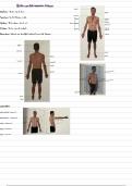 Tot op het bot samenvatting anatomie 1ste jaar voedings en dieetkunde