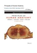 Test Bank - Principles of Human Anatomy&comma; Tortora&comma; 15th Edition &lpar;Tortora&comma; 2020&rpar; Chapter 1-27 Fully Covered