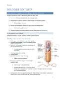Biologie & Ziekteleer &vert; The immune System and Mechanisms of Defense &vert; KU Leuven &vert; 2026&sol;27