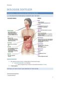 Menselijke biologie & ziekteleer &vert; Hoofdstuk 11&colon; The digestive system and nutrition &vert; KU Leuven &vert; 2026&sol;27