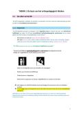 Orthopedagogisch Werken 1 &vert; Basis OB-Rollen &vert; HWVL &vert; 2025&sol;26