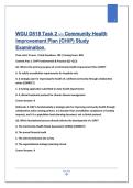 WGU D518 Task 2 &ndash; Community Health Improvement Plan &lpar;CHIP&rpar; Study Examination