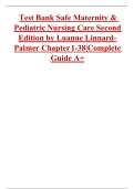 Test Bank For Safe Maternity & Pediatric Nursing Care 2nd Edition by Luanne Linnard-Palmer & Gloria Haile Coats ISBN 9780803697348 Chapters&lpar;1 to 38&rpar;