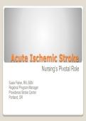 Acute Ischemic Stroke Nursing Study Guide&colon; Providence Stroke Center Protocol Notes