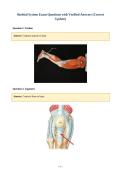 Skeletal System Exam Questions with Verified Answers &lpar;Correct&NewLine;Update&rpar;