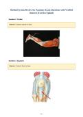 Skeletal System Review for Anatomy Exam Questions with Verified&NewLine;Answers &lpar;Correct Update&rpar;