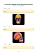 Skeletal System&colon; Bones With Pictures Exam Questions with Verified&NewLine;Answers &lpar;Correct Update&rpar;