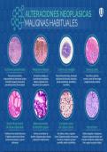 Apuntes anatomia patologica&comma; citologia general&comma; tema 1 