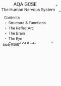 AQA GCSE Biology &ndash; &lbrack;UNIT 5&rsqb;The Human Nervous System &ndash; Revision Notes