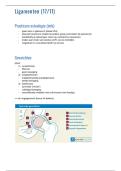 Handige documenten voor het vak anatomie&excl;