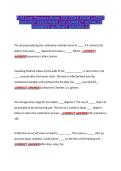 P-99 Low Pressure Boiler COF FDNY EXAM LATEST &NewLine;2026&sol;2027 QUESTIONS and CORRECT DETAILED &NewLine;ANSWERS ALREADY GRADED A&plus; 
